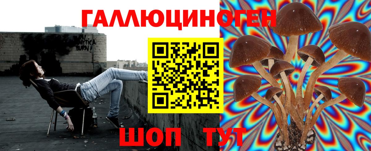 Псилоцибиновые грибы Cubensis  Вход с VPN  Сухой Лог 