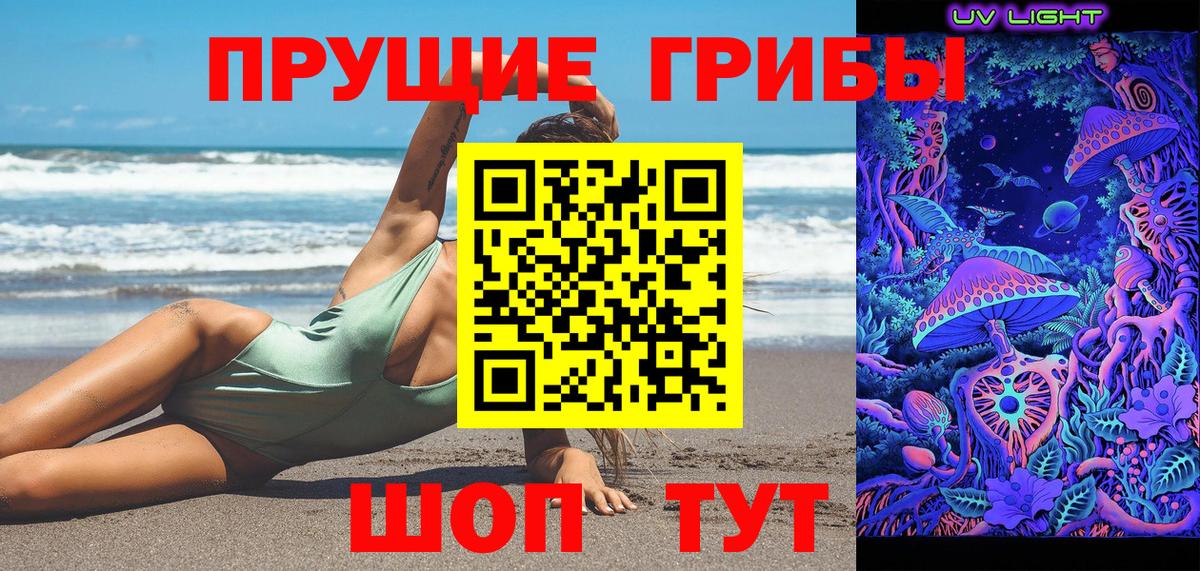 Галлюциногенные грибы Psilocybe Сухой Лог