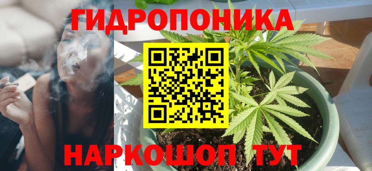 Сухой Лог  Шишки марихуана Bruce Banner  Вход с VPN  Конопля ГИДРОПОН  Конопля THC 21% 